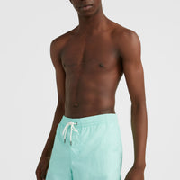 Vert 16'' Swim Shorts | Beach Glass