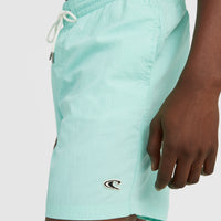 Vert 16'' Swim Shorts | Beach Glass