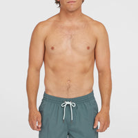 Vert 16'' Swim Shorts | North Atlantic