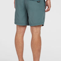 Vert 16'' Swim Shorts | North Atlantic