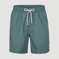 Vert 16'' Swim Shorts | North Atlantic