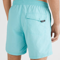 Vert 16'' Swim Shorts | Aqua Spalsh