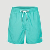 Vert 16'' Swim Shorts | Sea Green