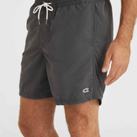 Vert 16'' Swim Shorts | Asphalt