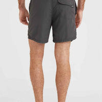 Vert 16'' Swim Shorts | Asphalt