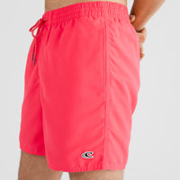 Vert 16'' Swim Shorts | Divan