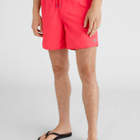 Vert 16'' Swim Shorts | Divan