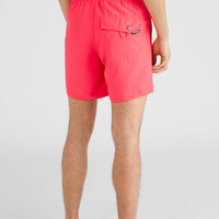 Vert 16'' Swim Shorts | Divan