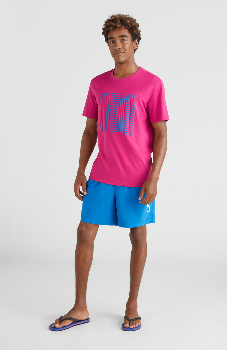 Cali 16'' Swim Shorts | Victoria Blue