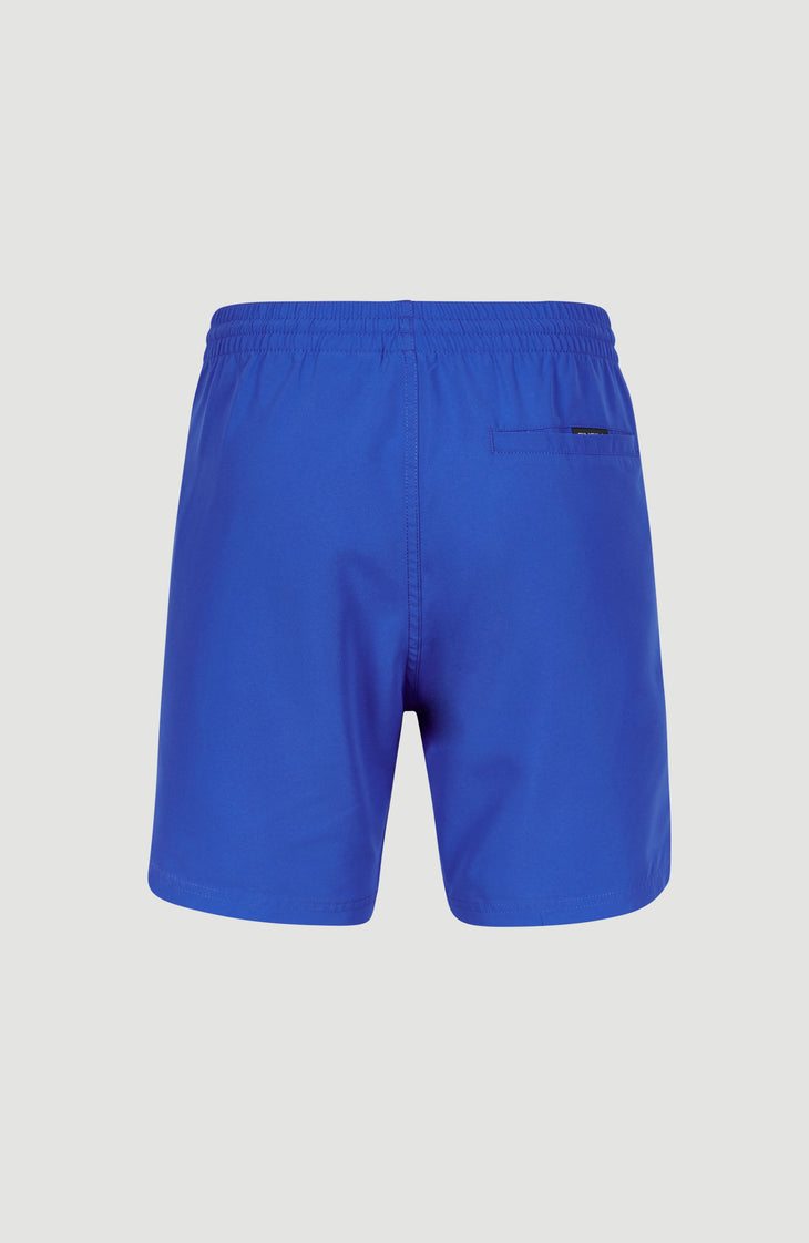 Cali 16'' Swim Shorts | Victoria Blue
