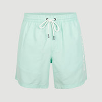 Cali 16'' Swim Shorts | Beach Glass