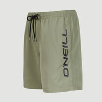 Cali 16'' Swim Shorts | Deep Lichen Green