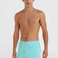 Cali 16'' Swim Shorts | Aqua Spalsh