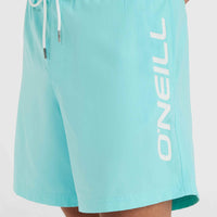 Cali 16'' Swim Shorts | Aqua Spalsh