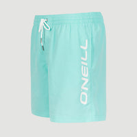 Cali 16'' Swim Shorts | Aqua Spalsh