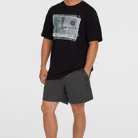 Cali 16'' Swim Shorts | Asphalt