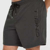 Cali 16'' Swim Shorts | Asphalt