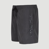 Cali 16'' Swim Shorts | Asphalt