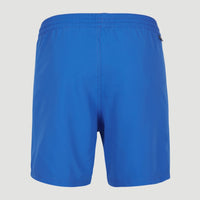 Cali 16'' Swim Shorts | Victoria Blue -A