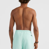 Original Cali 16'' Swim Shorts | Beach Glass