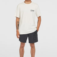 Original Cali 16'' Swim Shorts | Asphalt