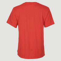 Essentials V-Neck T-Shirt | Sunrise Red