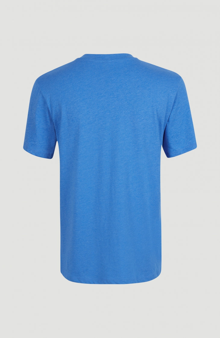 Essentials V-Neck T-Shirt | Palace Blue