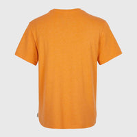 Essentials V-Neck T-Shirt | Nugget