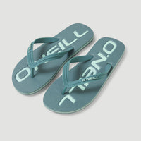 Profile Logo Sandals | North Atlantic