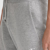 O'Neill Small Logo Sweatpants | Silver Melee