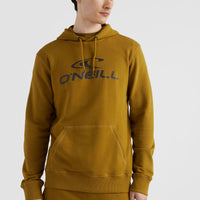 O'Neill Logo Hoodie | Plantation