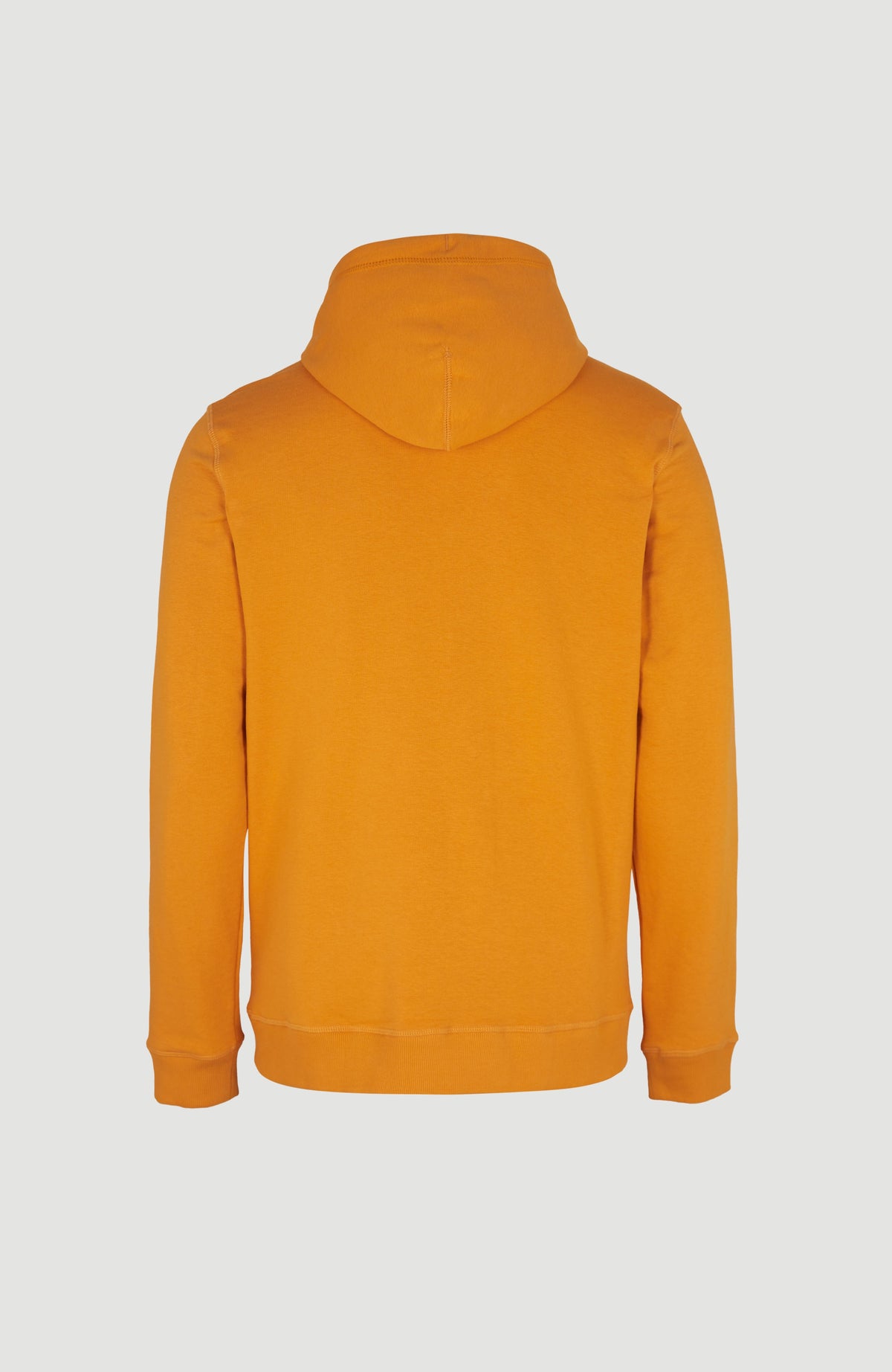 O'Neill Logo Hoodie | Nugget