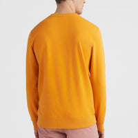 O'Neill Logo Crew Sweatshirt | Nugget