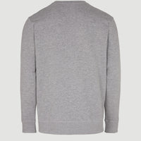 O'Neill Small Logo Crew Sweatshirt | Silver Melee