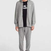 O'Neill Small Logo Full-Zip Hoodie | Silver Melee