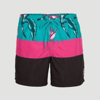 Frame Block Swim Shorts | Red Multi Stripe