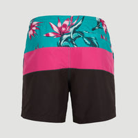 Frame Block Swim Shorts | Red Multi Stripe