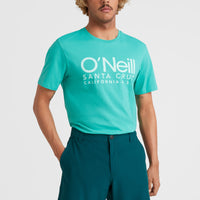 Hybrid Chino Shorts | Deep Teal