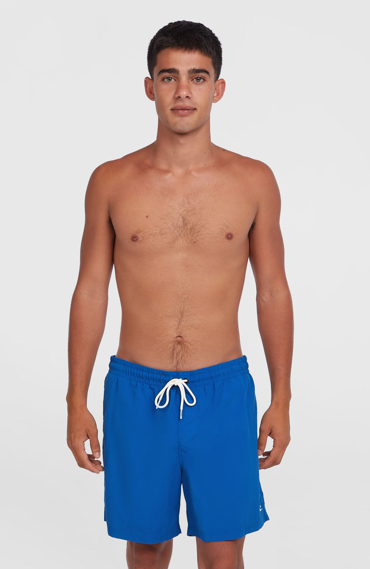 O'Neill Vert 16'' Swim Shorts | Victoria Blue