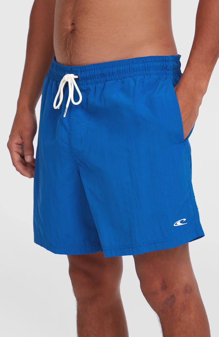 O'Neill Vert 16'' Swim Shorts | Victoria Blue