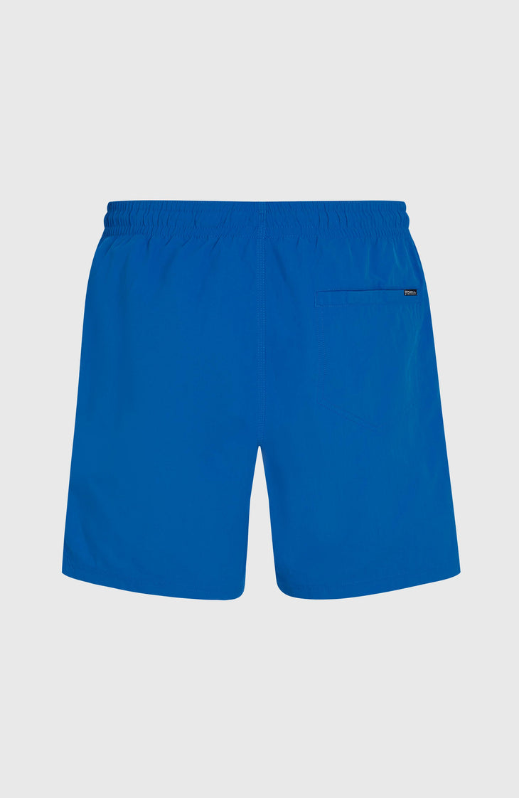 O'Neill Vert 16'' Swim Shorts | Victoria Blue