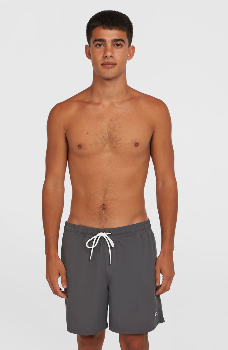 O'Neill Vert 16" Swim Shorts | Asphalt