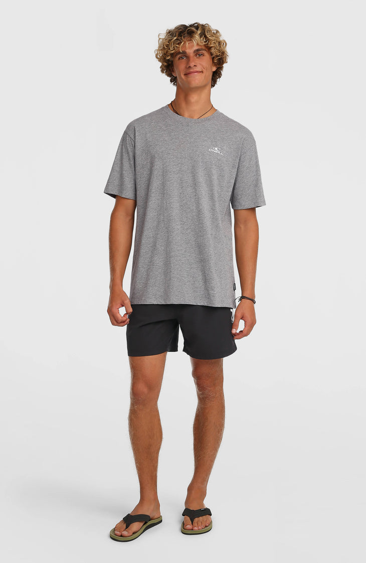 O'Neill Logo 16" Swimshorts | Black Out