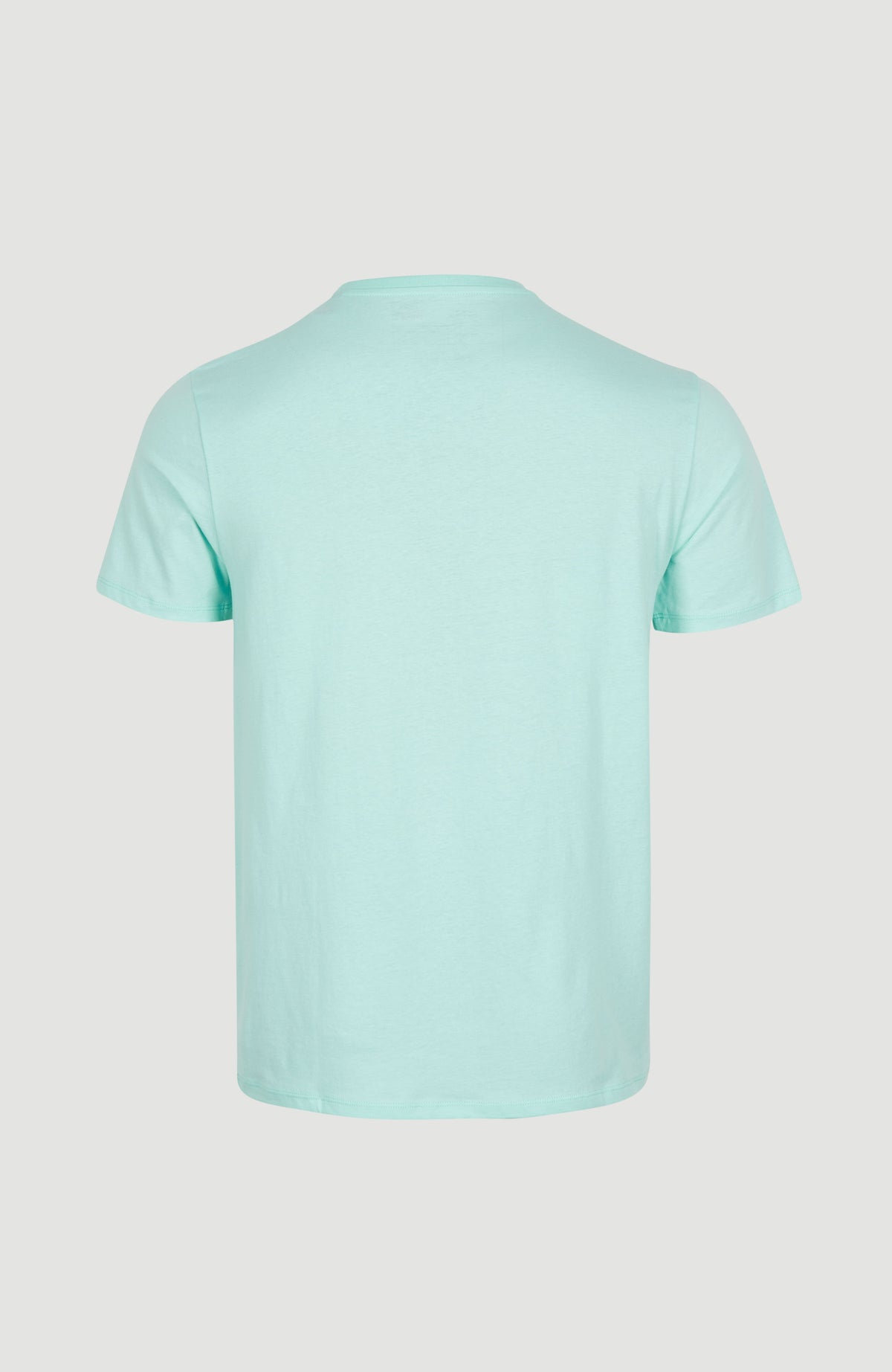Arrowhead T-Shirt | Beach Glass