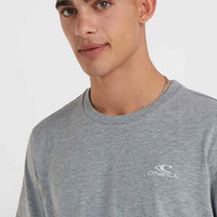 O'Neill Small Logo T-Shirt | Silver Melee