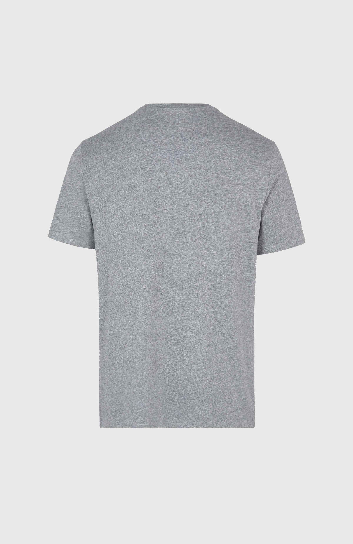 O'Neill Small Logo T-Shirt | Silver Melee