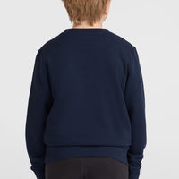 O'Neill Logo Crew Sweatshirt | Ink Blue