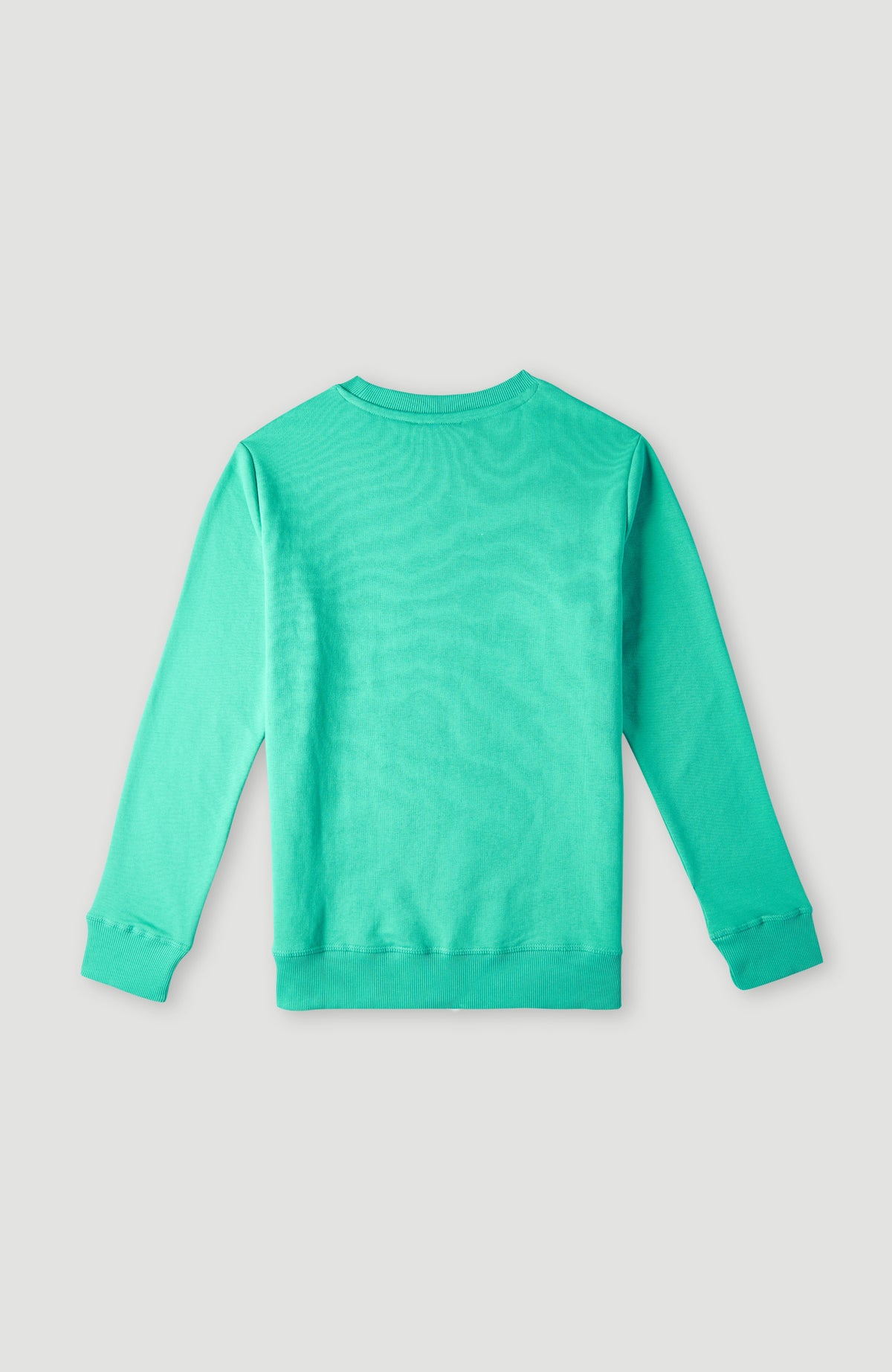 O'Neill Logo Crew Sweatshirt | Sea Green