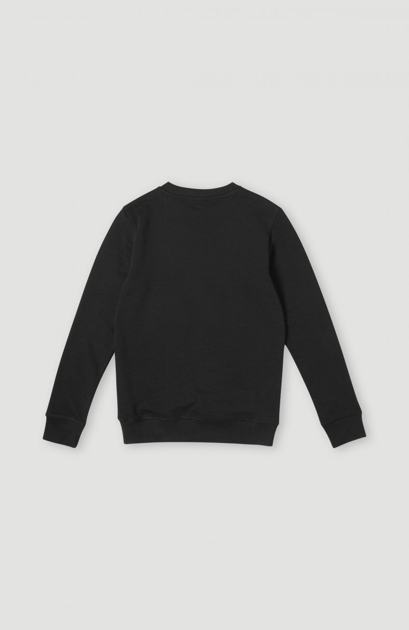 O'Neill Logo Crew Sweatshirt | Black Out