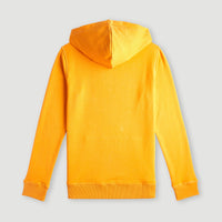 O'Neill Logo Hoodie | Nugget